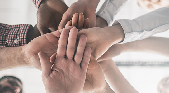 EEN BELEID OM INCLUSIE EN DIVERSITEIT TE VERBETEREN